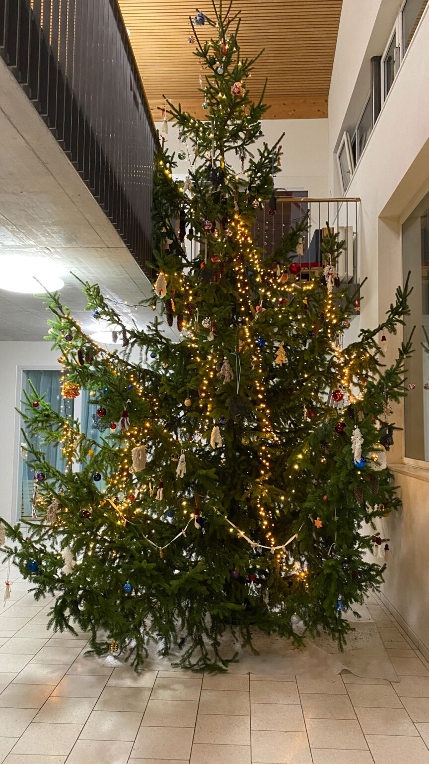 Oh Tannenbaum... Schule GRINDELWALD